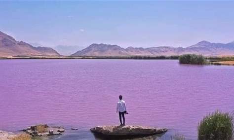 ما سر البحيرة البنفسجية في العراق؟