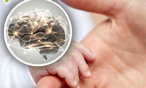 هل الذكاء وراثة من الأم فقط؟ العلم يفك شفرة المعادلة الجينية