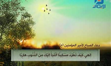 دعاء الصباح لأمير المؤمنين (ع) - بصوت أبو ايمن